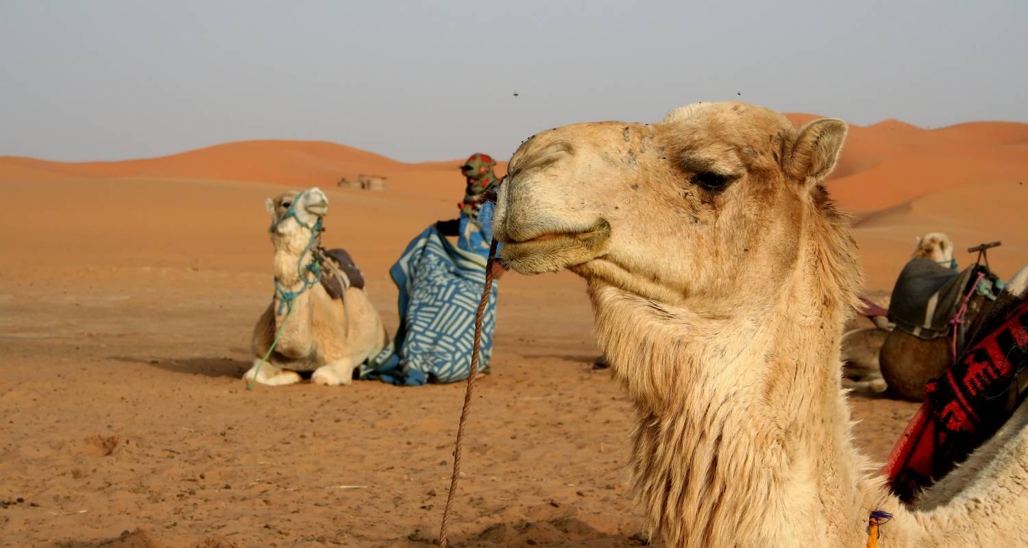 An adventure touring the most emblematic places in Morocco Morocco Discovery Casablanca - 9 Days