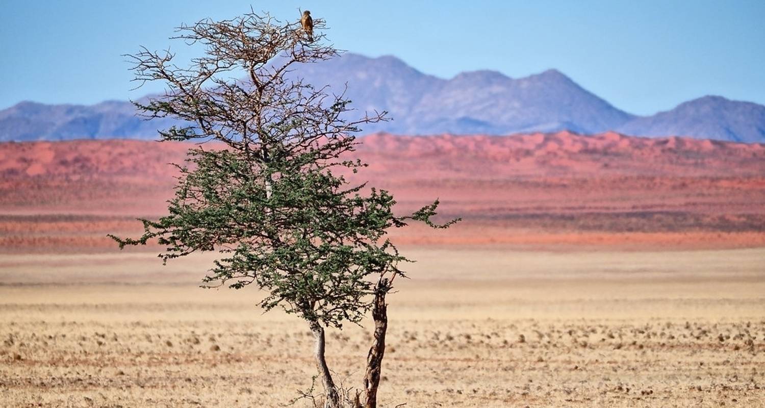 An adventure touring the most emblematic places in Namibia 7 Days Highlights Of Namibia | Auto Tour Camping