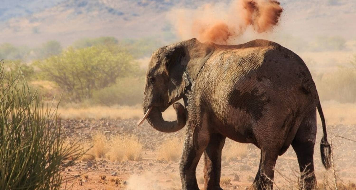 An adventure touring the most emblematic places in Namibia 10 Days Beauty Of Namibia | Auto Tour Camping