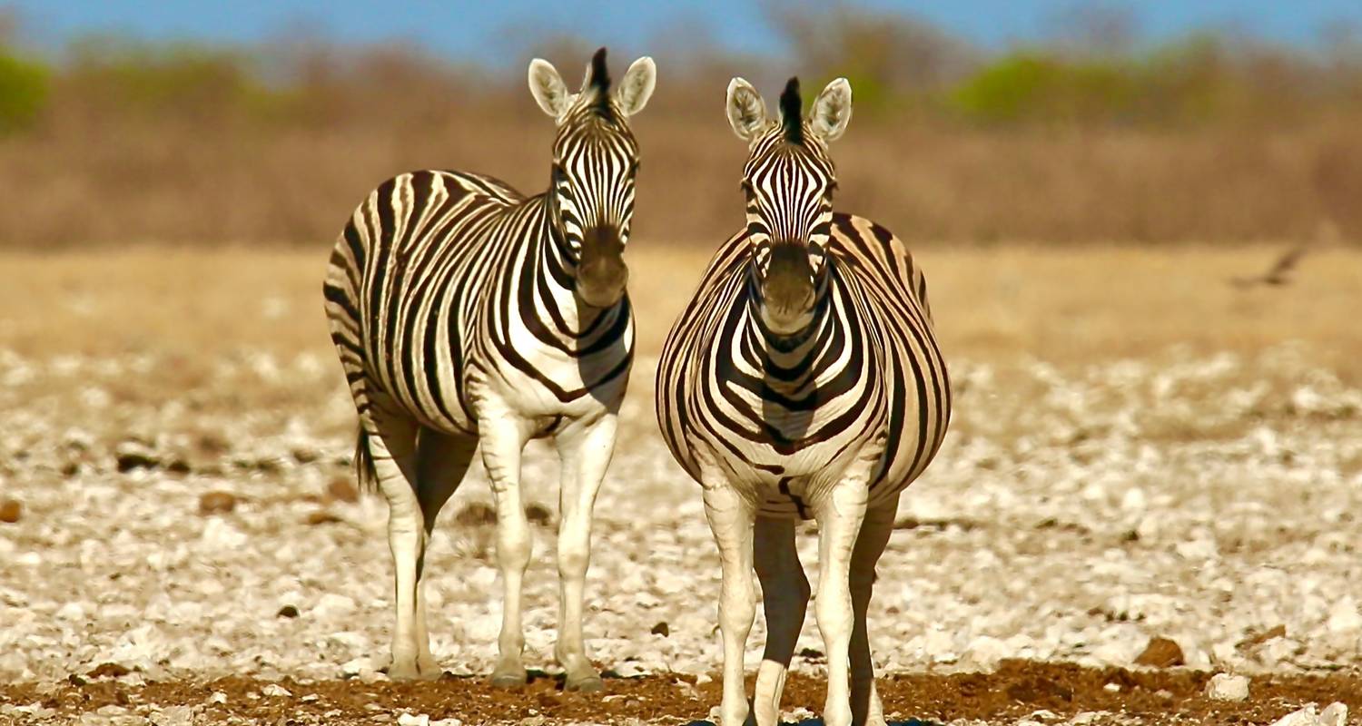 An adventure touring the most emblematic places in Namibia 6 Days Sossusvlei, Swakopmund And Etosha Np Camping