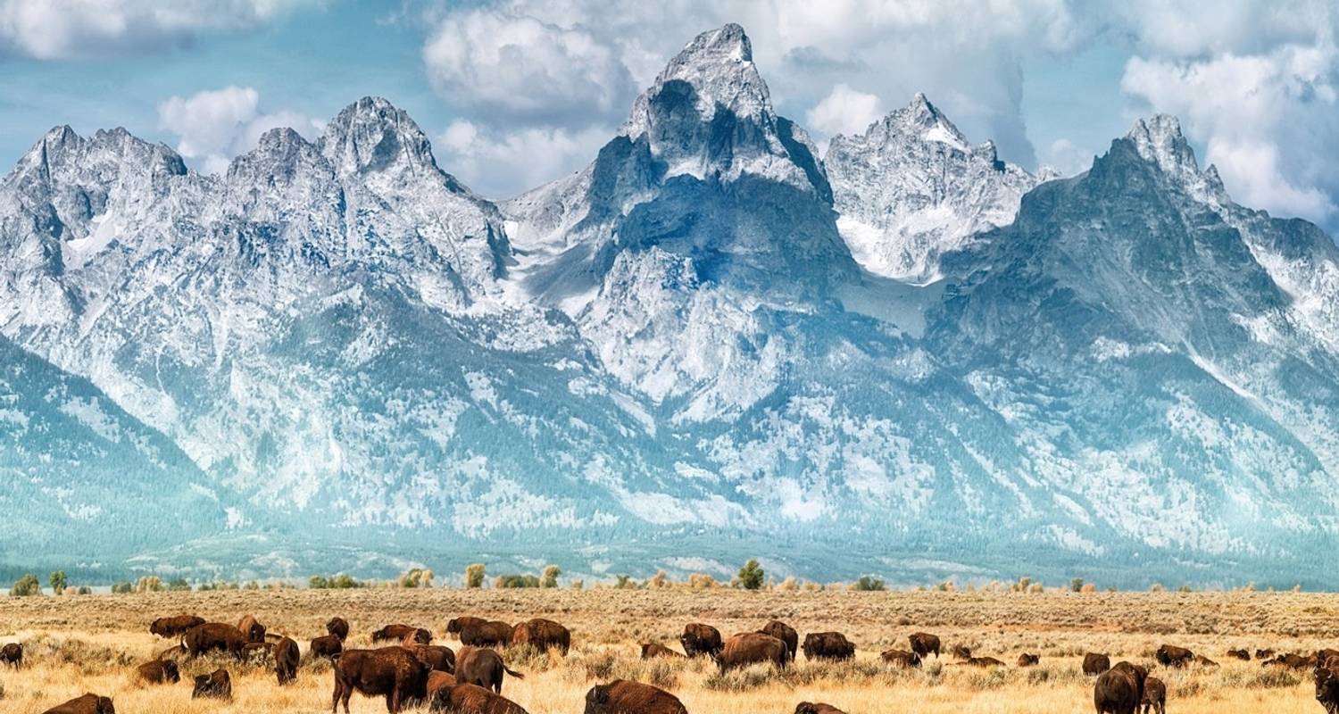 American Parks Trail (Small Groups, End Denver, 9 Days)