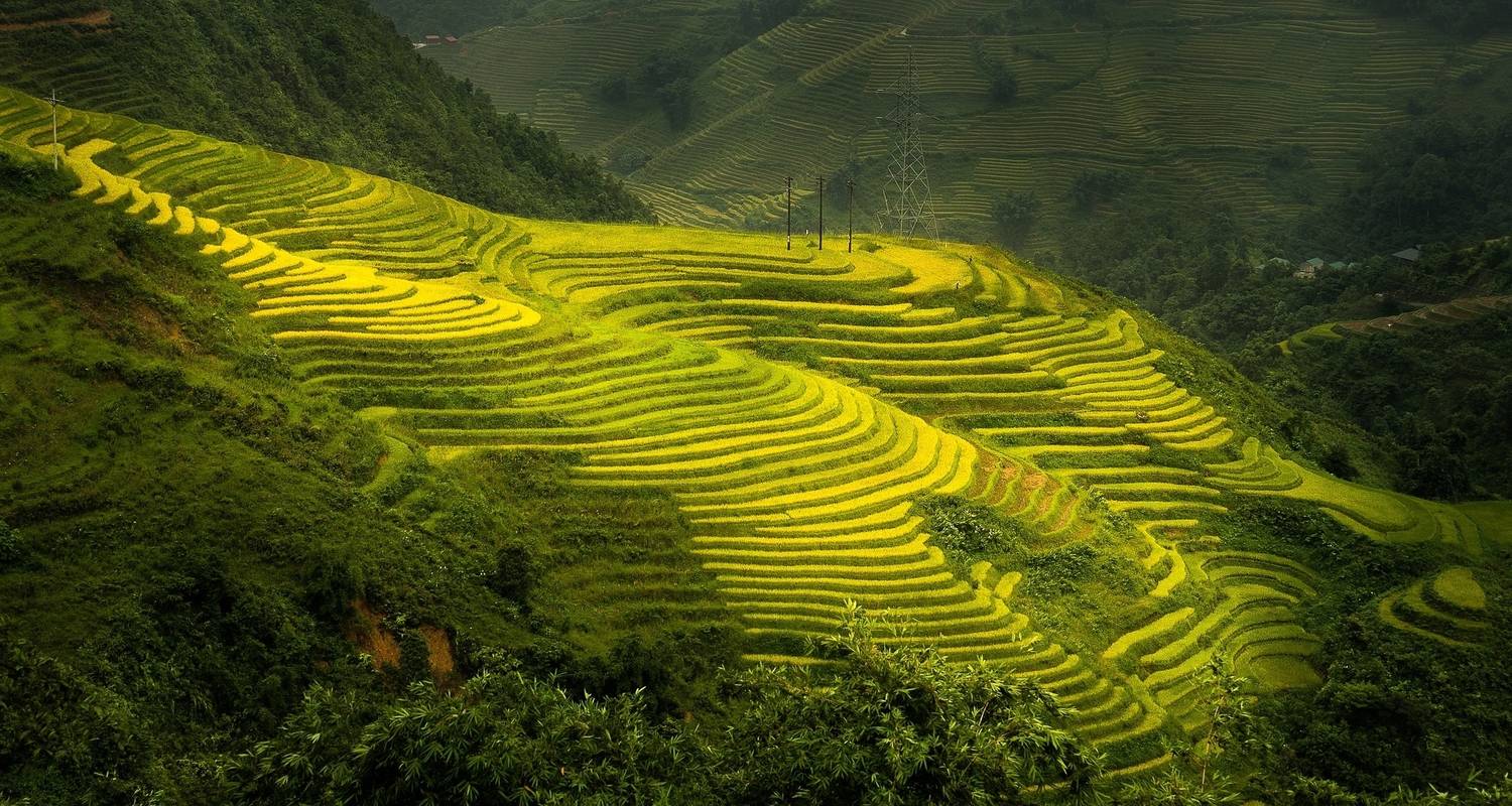 Vietnam Monogram In 14 Days