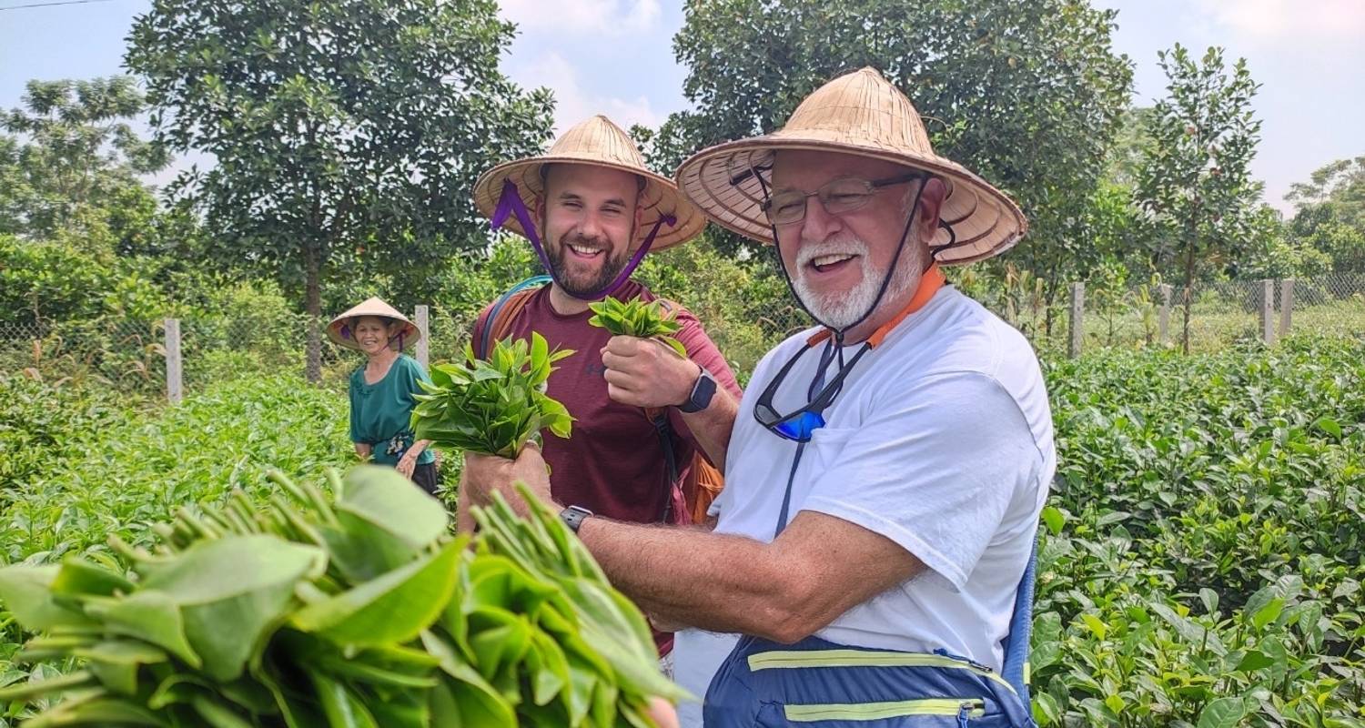 Discover Vietnam With Family In 9 Days