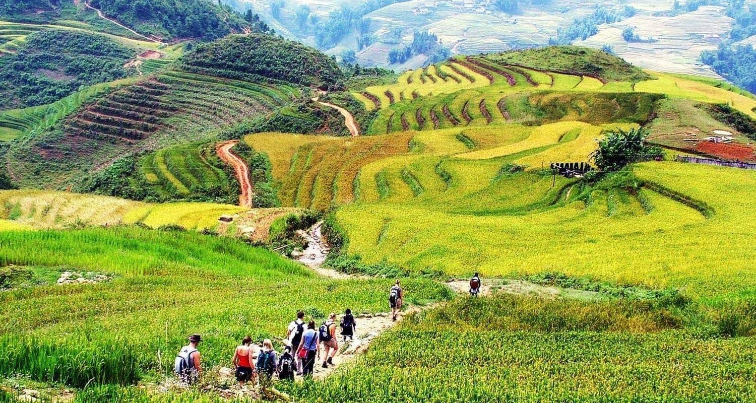 Vietnam Signature In 15 Days