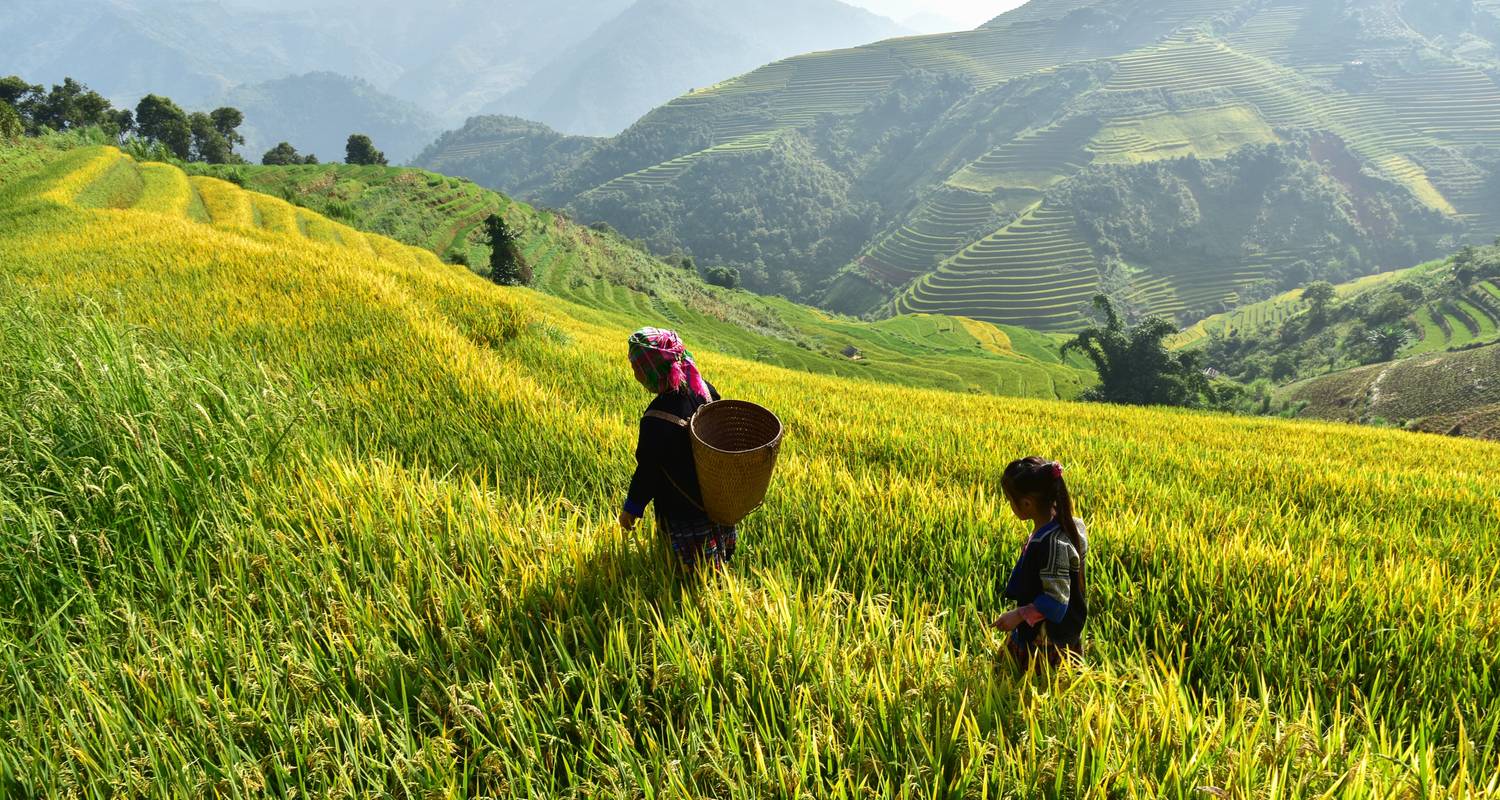 An adventure touring the most emblematic places in Viet Nam Enchanting 13-Day Vietnam Adventure
