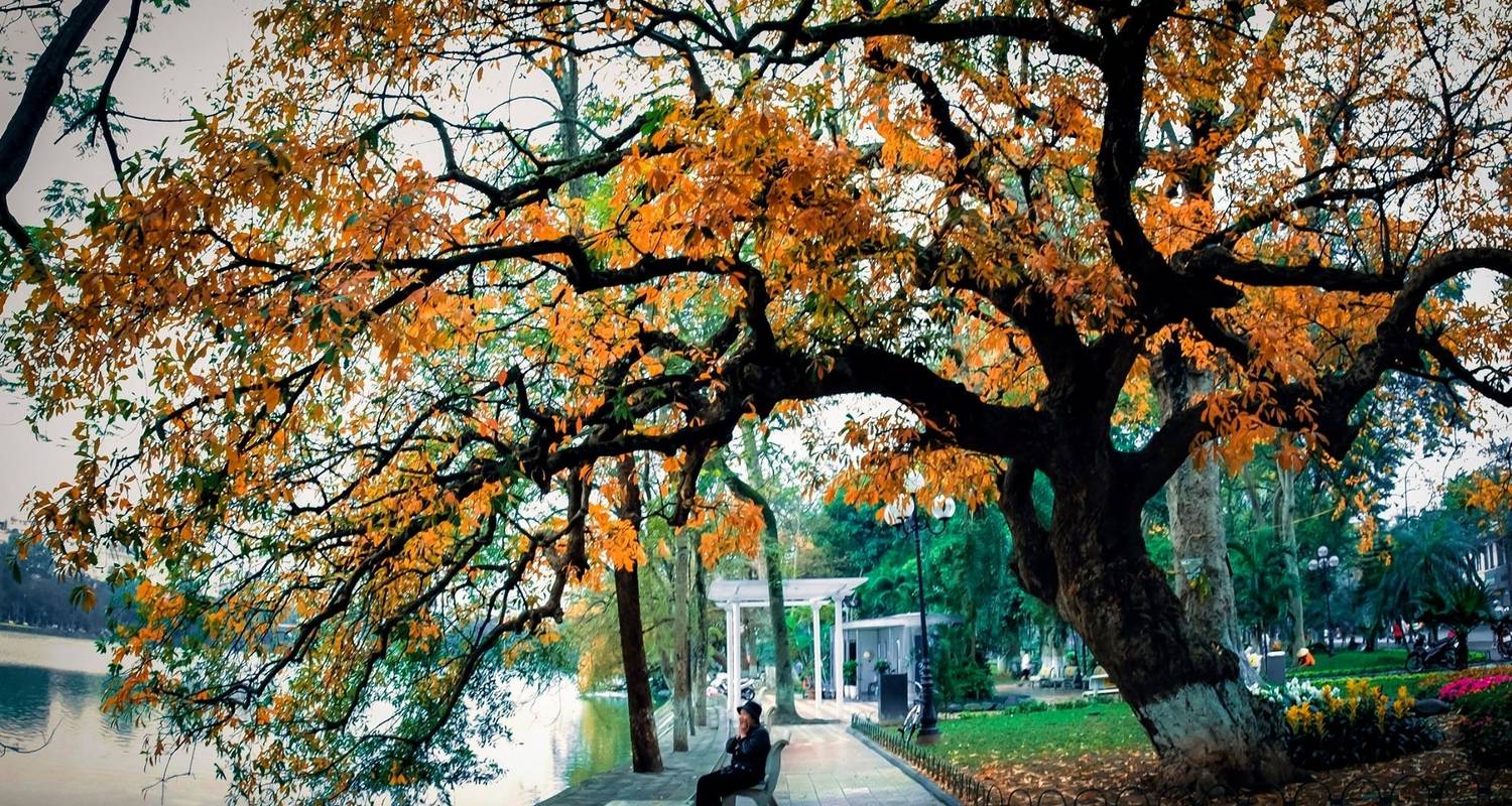 Vietnam Intro 12 Days: Hanoi - Ninh Binh - Halong Bay - Hoi 