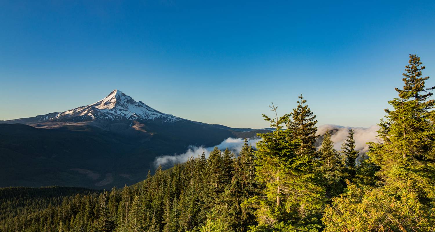 An adventure touring the most emblematic places in United States of America Best Of The Pacific Northwest (Base, 8 Days)