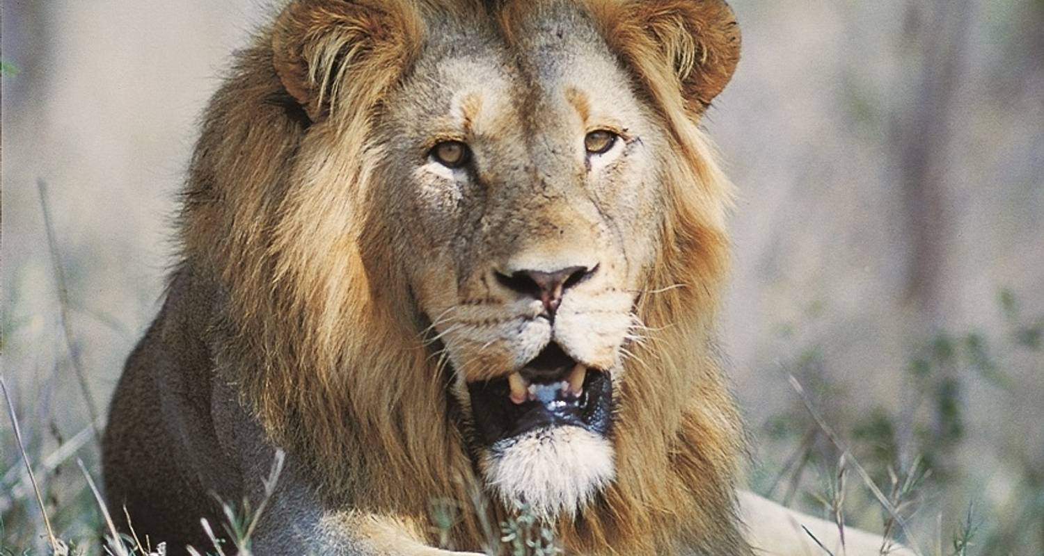 7-Day Kruger To Victoria Falls (Accommodated)