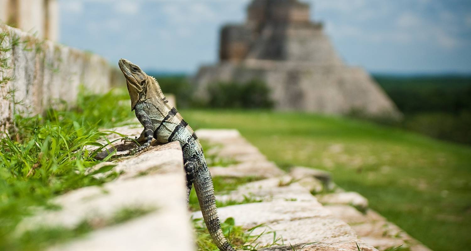Mexico & Guatemala Circuit (From Cancun) Travel Pass