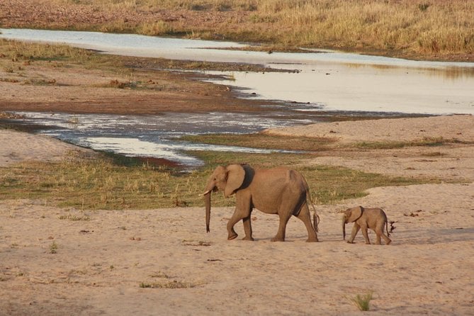 Johannesburg Airport Kruger National Park localadventures.travel