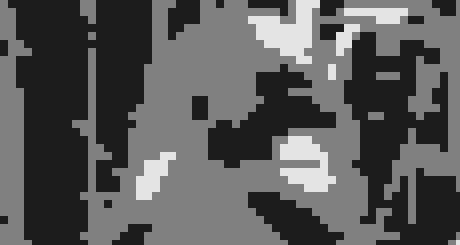 The Gorilla Trek