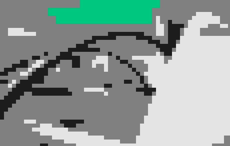 Llegada a Toronto Llegada a Toronto