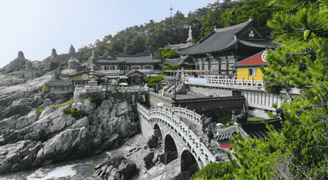 Tour privado por Busan