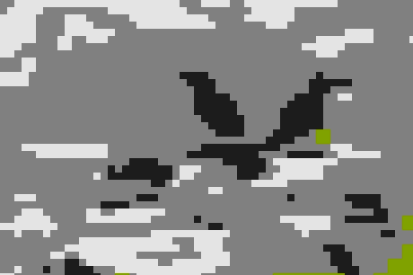 Avistamiento de ballenas