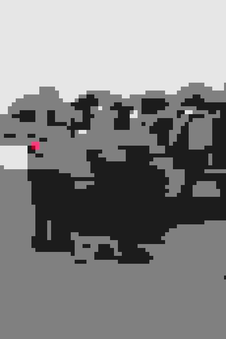 Santuario de Elefantes Kanta