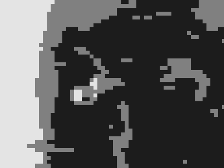 Vuelo en parapente. Vuelo en parapente.