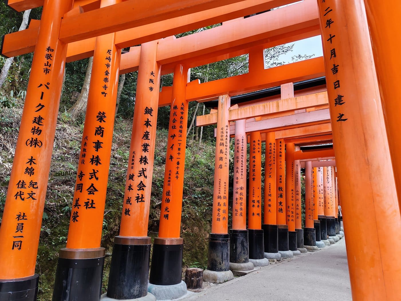 Viajero explorando la modernidad y tradición de Japón con LocalAdventures