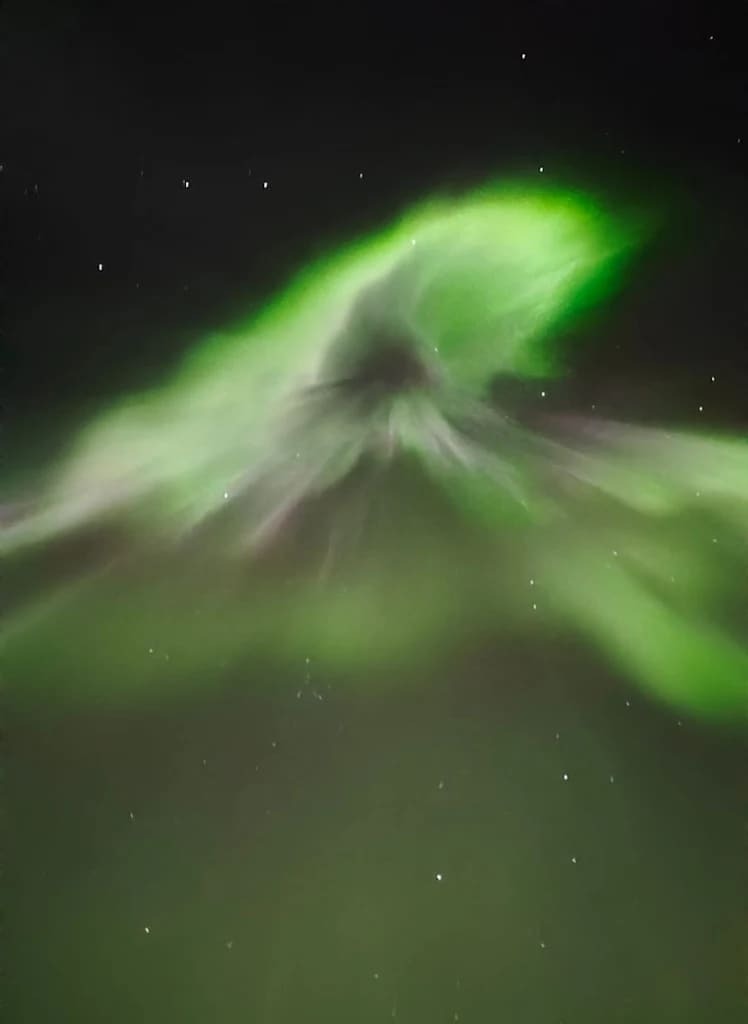 Viajera observando las auroras boreales en Whitehorse, Yukón